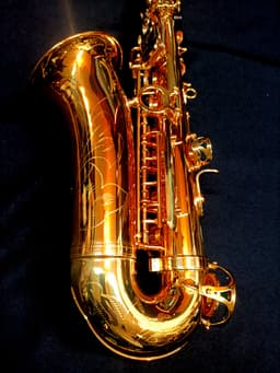 Saxo Alto Punk Jazz Customshop - imagen 1