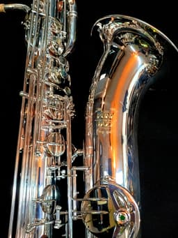 Saxo Barítono Punk Jazz Customshop Silver - imagen 1
