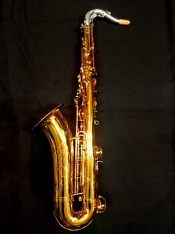 Saxo Tenor Punk Jazz Customshop - imagen 1