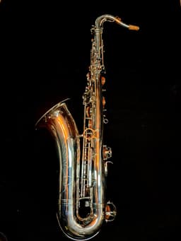 Saxo Tenor Punk Jazz Customshop Silver - imagen 1