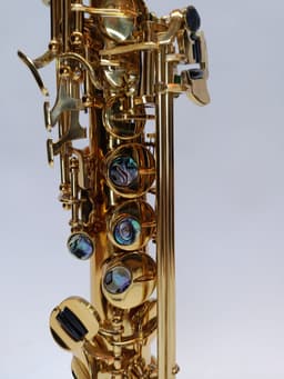 Saxo Soprano Punk Jazz Customshop Profesional - imagen 1