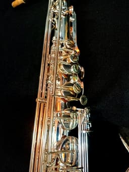 Saxo Tenor Punk Jazz Customshop Silver - imagen 2