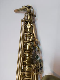 Saxofón Alto Punk Jazz CUSTOMSHOP - imagen 2