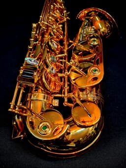 Saxo Alto Punk Jazz Customshop - imagen 2