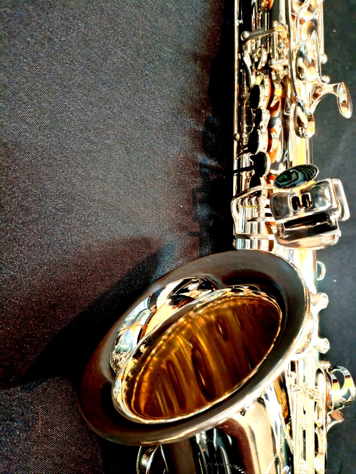 Saxo Alto Punk Jazz Customshop Silver