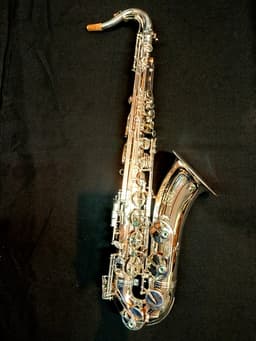 Saxo Tenor Punk Jazz Customshop Silver - imagen 3