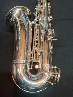Saxo Alto Punk Jazz Customshop Silver - imagen 1