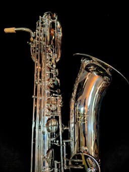 Saxo Barítono Punk Jazz Customshop Silver - imagen 2
