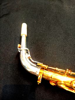 Saxo Alto Punk Jazz Customshop - imagen 4