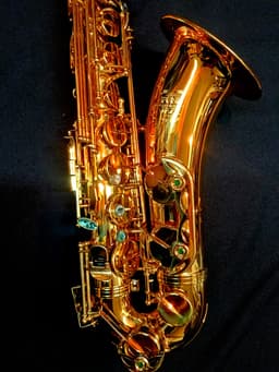 Saxo Tenor Punk Jazz Customshop - imagen 4