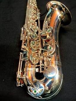 Saxo Tenor Punk Jazz Customshop Silver - imagen 4