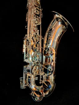 Saxo Tenor Punk Jazz Customshop Silver - imagen 5