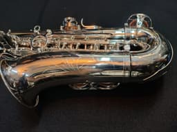 Saxo Alto Punk Jazz Customshop Silver - imagen 4