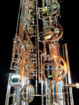 Saxo Barítono Punk Jazz Customshop Silver - imagen 4
