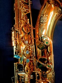 Saxo Tenor Punk Jazz Customshop - imagen 5