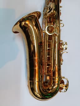 Saxofón Alto Punk Jazz Dorado CUSTOMSHOP - imagen 1