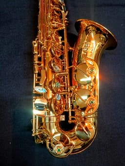 Saxo Alto Punk Jazz Customshop - imagen 5