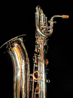Saxo Barítono Punk Jazz Customshop Silver - imagen 5