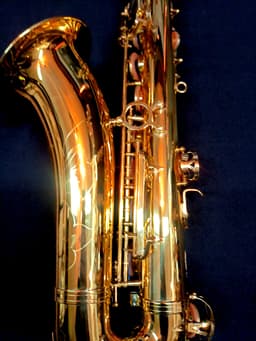 Saxo Tenor Punk Jazz Customshop - imagen 6