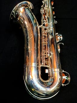 Saxo Tenor Punk Jazz Customshop Silver - imagen 6