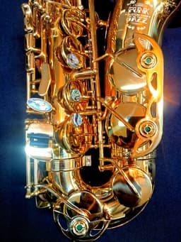Saxo Alto Punk Jazz Customshop - imagen 6