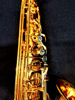 Saxo Alto Punk Jazz Customshop - imagen 7
