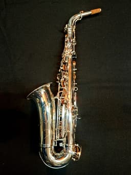 Saxo Alto Punk Jazz Customshop Silver - imagen 6