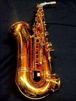 Saxo Alto Punk Jazz Customshop - imagen 8