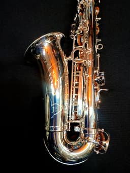 Saxo Alto Punk Jazz Customshop Silver - imagen 7