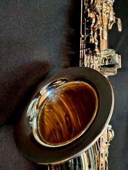 Saxo Tenor Punk Jazz Customshop Silver - imagen 7