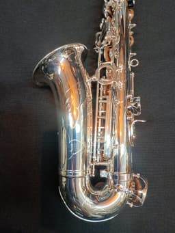 Saxo Alto Punk Jazz Customshop Silver - imagen 8