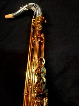 Saxo Tenor Punk Jazz Customshop - imagen 7