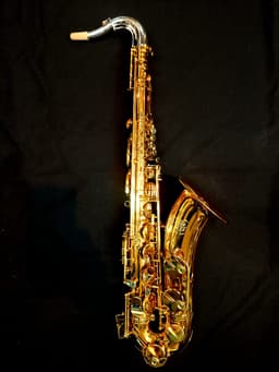 Saxo Tenor Punk Jazz Customshop - imagen 8