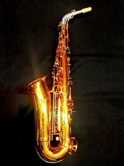 Saxo Alto Punk Jazz Customshop - imagen 10