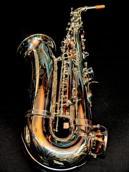 Saxo Alto Punk Jazz Customshop Silver - imagen 9