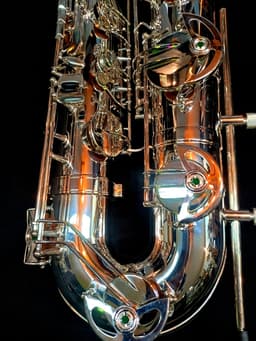 Saxo Barítono Punk Jazz Customshop Silver - imagen 8