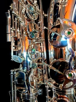 Saxo Tenor Punk Jazz Customshop Silver - imagen 8