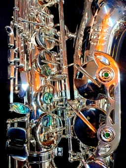 Saxo Alto Punk Jazz Customshop Silver - imagen 10