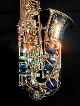 Saxo Alto Punk Jazz Customshop Silver - imagen 11
